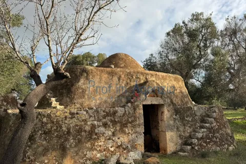 Landejendom i Carovigno, Brindisi, Carovigno - € 54.000 | Ref: 122834 - foto 3